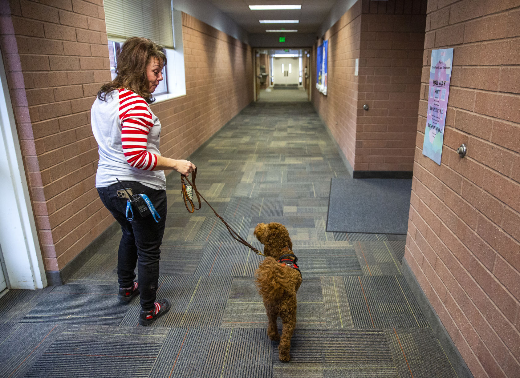 Therapy dogs at White Pine Elementary School